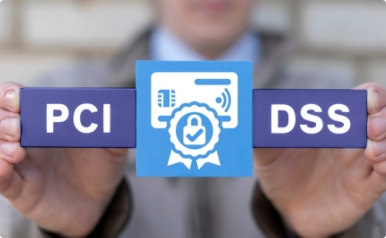 PCI DSS